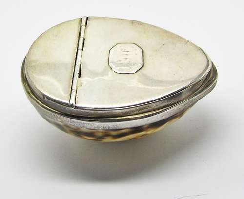 Scottish Georgian silver mounted Tiger Cowrie shell snuff box