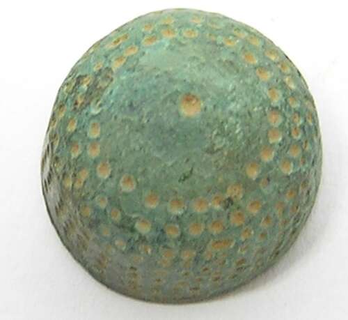 Medieval English Beehive Thimble