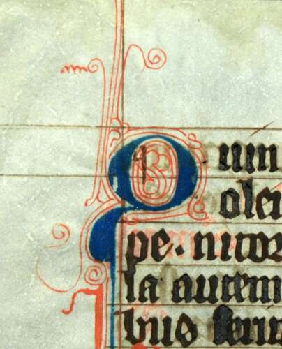 Medieval Illuminated Psalter Vellum