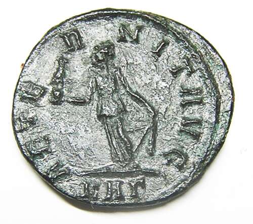 Ancient Roman Æ Antoninianus of Carinus / Eternity