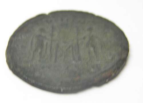 Ancient Roman Æ Antoninianus of Carinus / Vows & Prayers